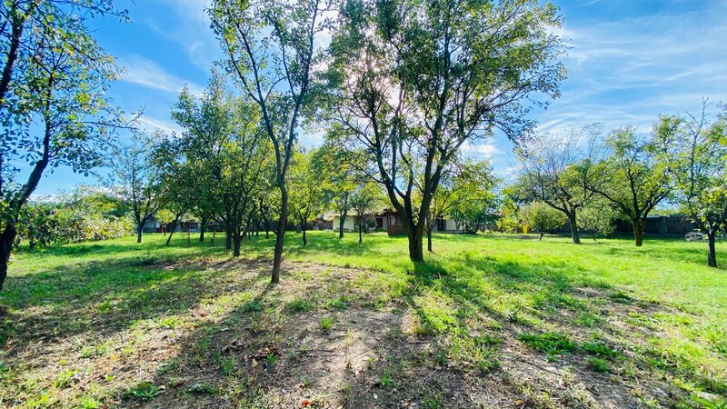 Valenii de Munte, casa de vacanta renovata cu livada si teren de 2031mp